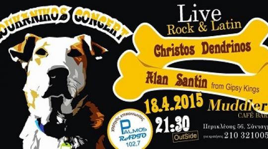 Live Rock & Latin!!!!