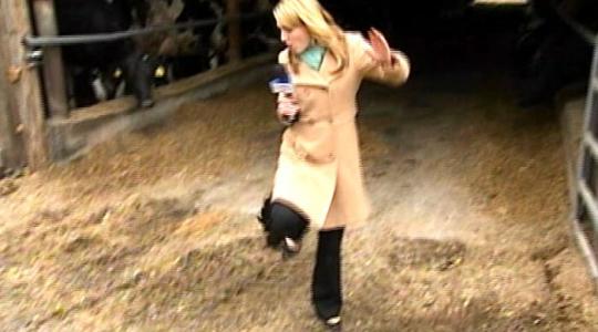 Ξεκαρδιστικό βίντεο: Κόκορας επιτίθεται σε δημοσιογράφο!