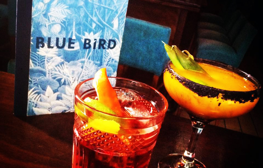 Blue Bird: Ένα barάκι τσέπης
