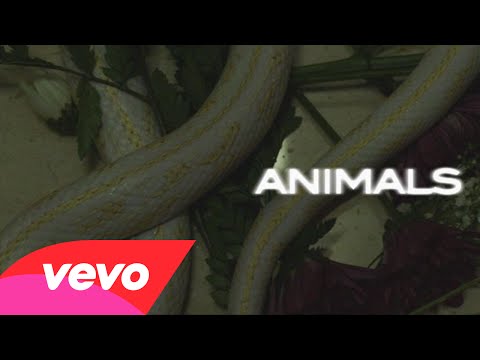 Ακούστε το καινούριο τραγούδι των Maroon 5, Animals!