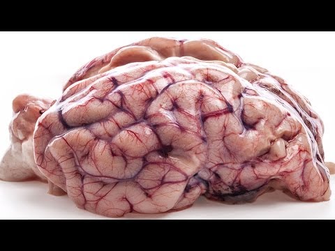 7 μύθοι για τον εγκέφαλο, που πιθανότατα πιστεύεις!