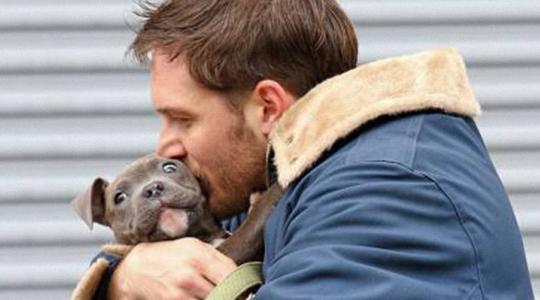 Φωτογραφίες: Το πιο τυχερό σκυλάκι του κόσμου στην αγκαλιά του Tom Hardy για το «Animal Rescue»