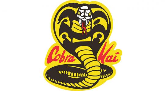 Η έχθρα του Karate Kid αναζωπυρώνεται στο «Cobra Kai»