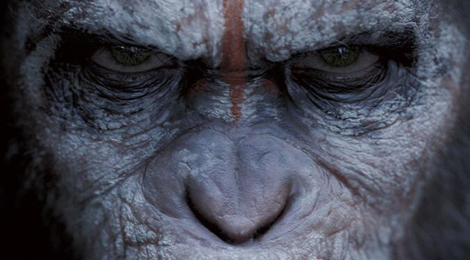 Οι πίθηκοι αγρίεψαν στο «Dawn of the Planet of the Apes»