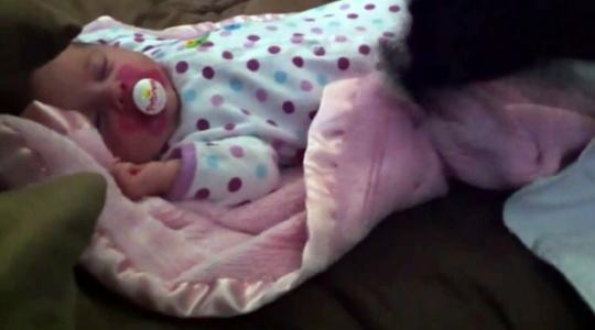 Video: Σκυλάκι σκεπάζει ένα μωρό την ώρα που κοιμάται