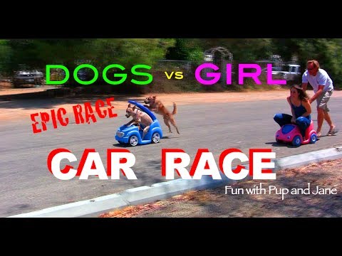 Ξεκαρδιστικός αγώνας μεταξύ ανθρώπων και… σκύλων!