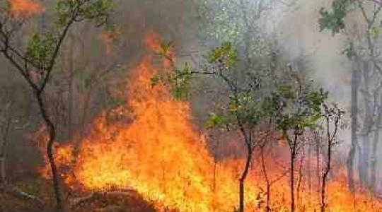 Κατέκαψε το Καματερό επειδή τον κεράτωσε η φίλη του!