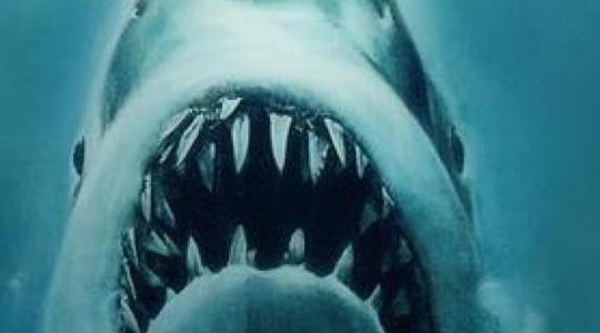 ” Jaws ” διαθέσιμο σε Βlu-Ray ( Video )