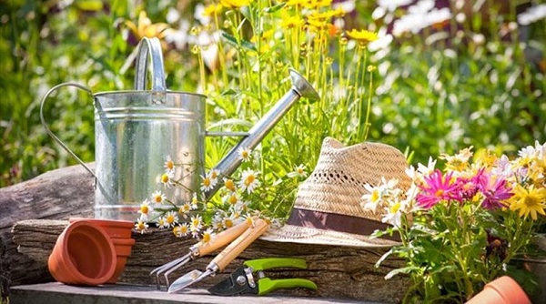 Φτιάξε τον δικό σου κήπο…στο μπαλκόνι σου!