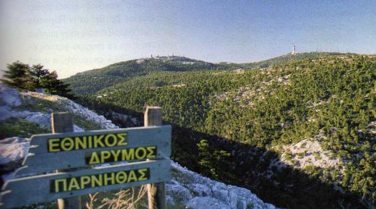 Πεζοπορική βόλτα στον δρυμό της Πάρνηθας!