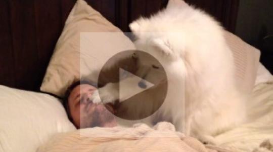 This dog woke up its owner in the cutest way imaginable