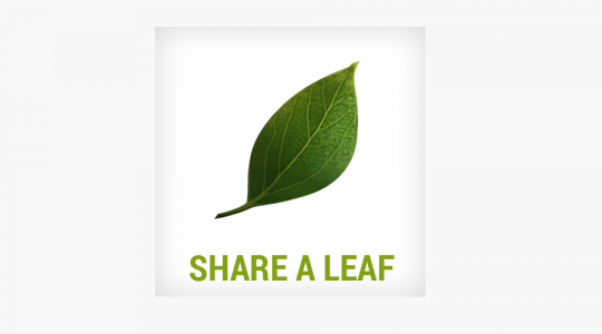 Share a Leaf! Για την Παγκόσμια Ημέρα Περιβάλλοντος!
