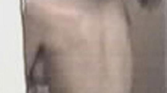 Το σπάνιο γυμνό βίντεο της Έλενας Τσαβαλιά!