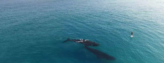 Το καλύτερο drone video που έχεις δει ποτέ!