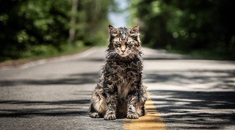 Τι προβλήματα είχε το Pet Sematary του 2019;