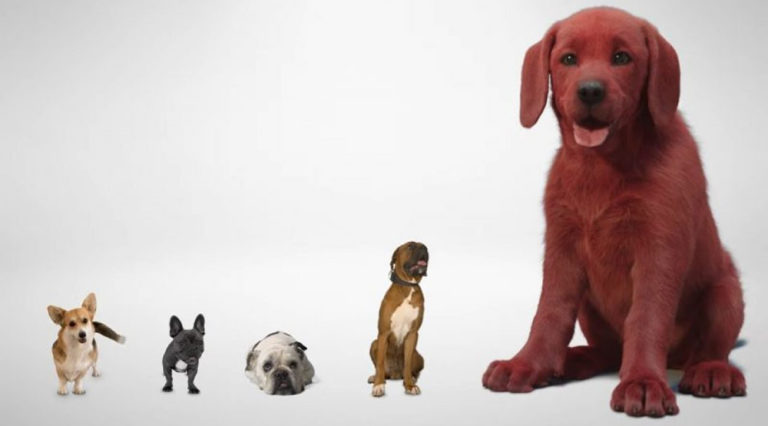 Ένα teaser για το «Clifford the Big Red Dog»