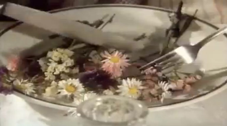 Πόσο μακάβριο είναι το «Food» του Jan Svankmajer;