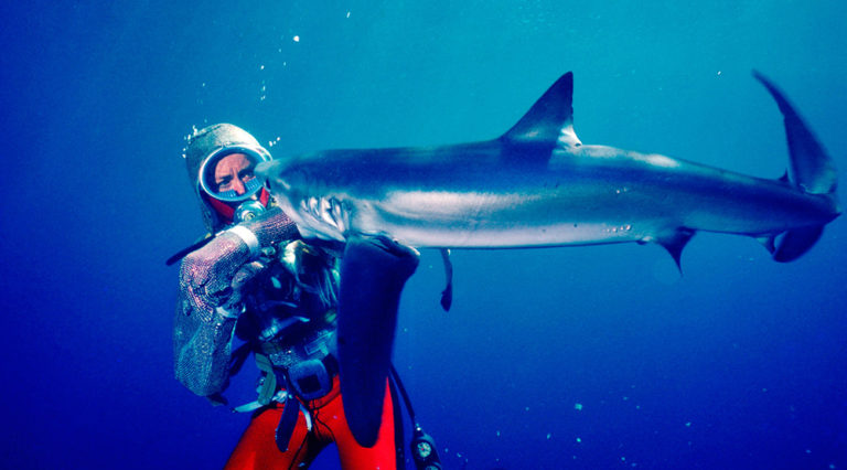 Πρώτη ματιά στο ντοκιμαντέρ «Playing with Sharks»